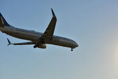 DSC_5670 (Large).JPG